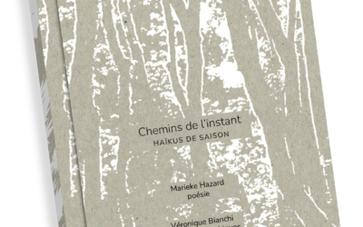 Recueil « Chemins de l’instant »