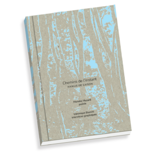 Recueil de poésie "Chemin de l'instant"